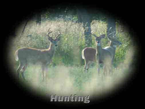 huntingpage